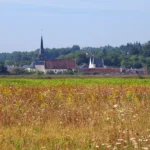 Escapade viticole dans un village du Loir-et-Cher, entre rangs de vigne et patrimoine de pierre, sans représenter un lieu authentifié.