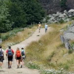 Randonnée nature dans les Cévennes, à choisir selon le parcours et le niveau ; le GR®736 entre Villefort et Le Rozier est une traversée difficile.