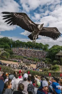Rapaces en vol pendant le spectacle Le Bal des Oiseaux Fantômes au Puy du Fou
