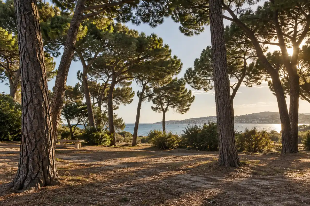 La Pinède Gould associe les pins et un espace ouvert, cadre des concerts de Jazz à Juan dans un quartier aussi connu pour ses plages.